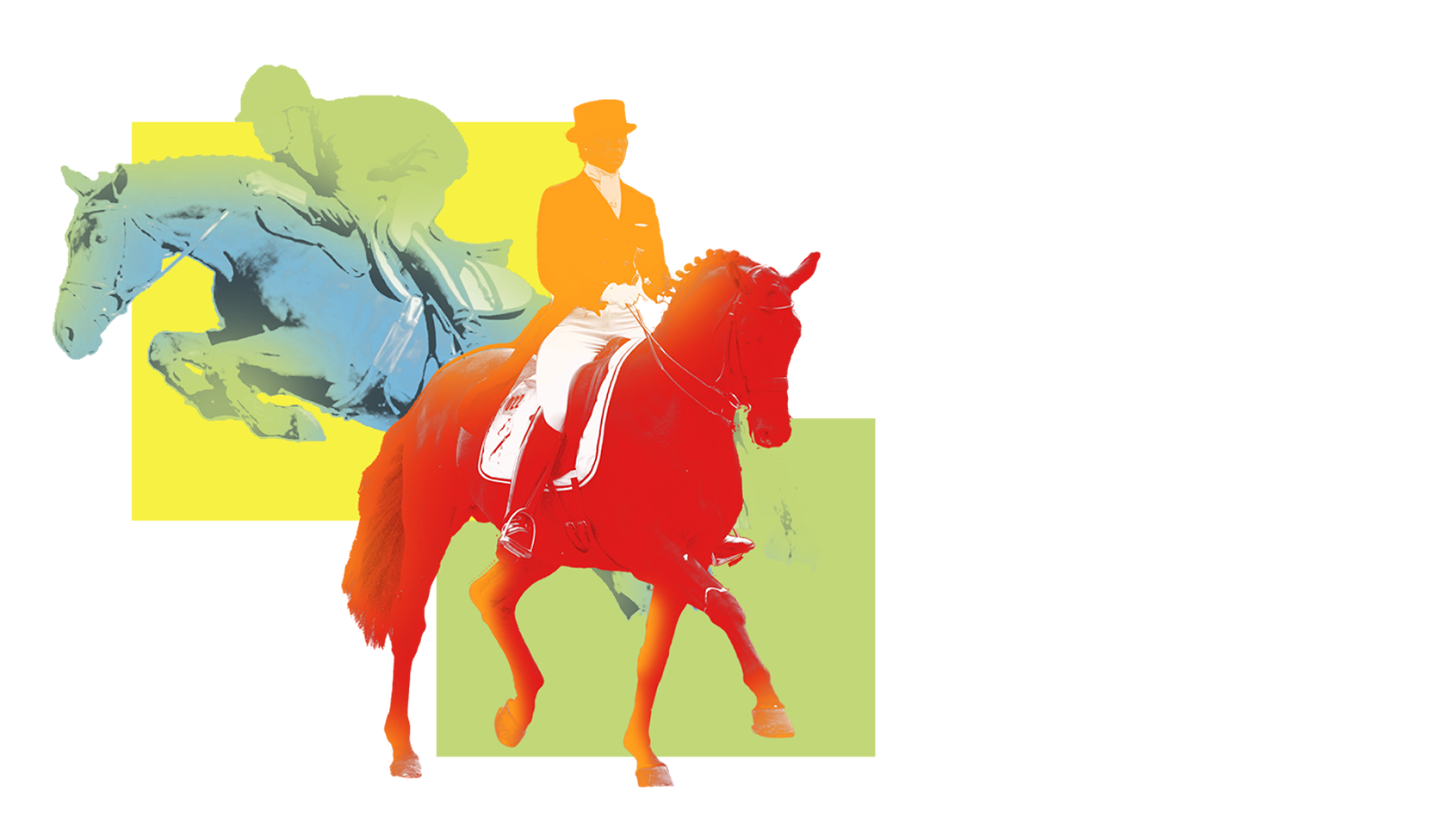 Neckar-Odenwald-Kreis-Cup